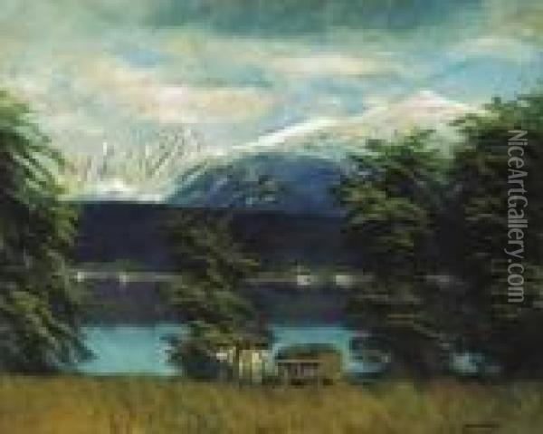 Lakelet With Snowy Peaks Oil Painting - Laszlo Mednyanszky