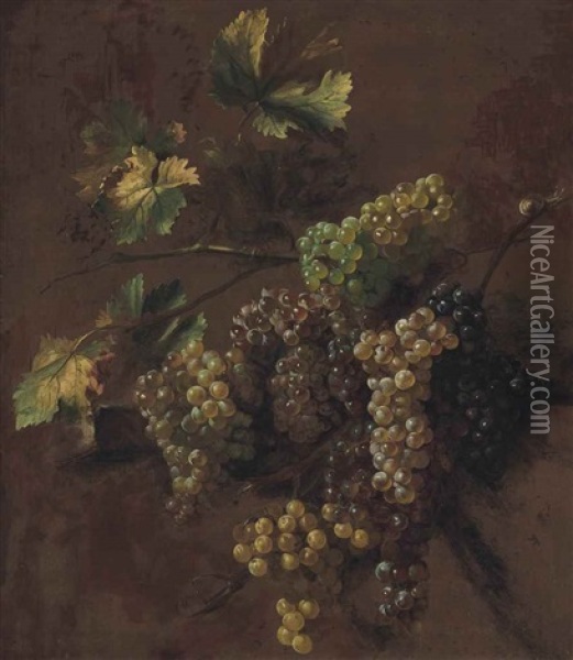 Bunches Of Grapes - A Study Oil Painting - Nicolas de Largilliere