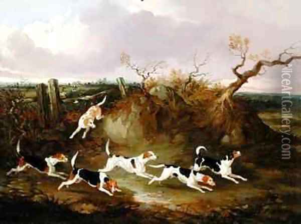 Beagles in Full Cry Oil Painting - Joshua Dalby