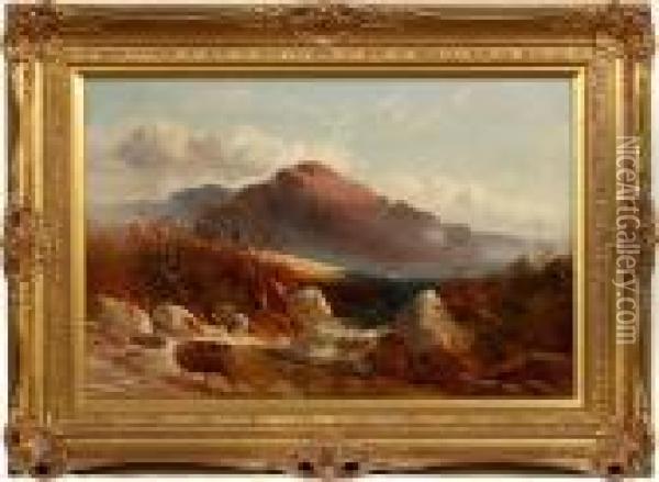 A Highland Stream Oil Painting - Thomas Miles Richardson