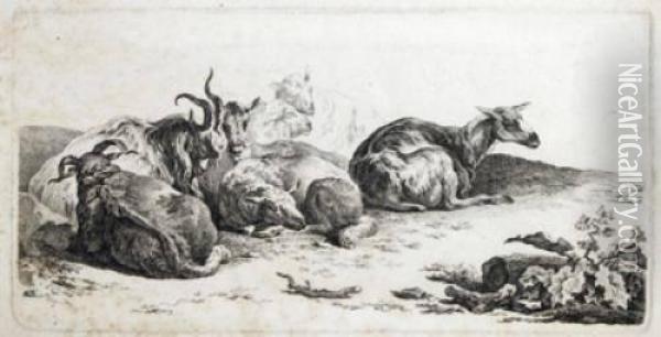 A Group Of Animal Studies Oil Painting - Friedrich August Brand
