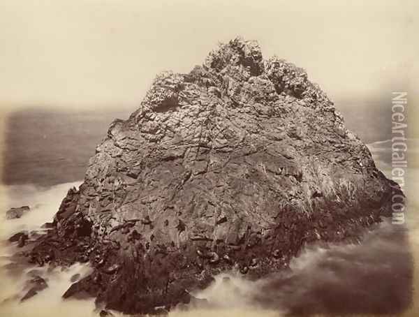 Sugar Loaf Island, Farallon National Wildlife Refuge, California, USA, 1869 Oil Painting - Carleton Emmons Watkins