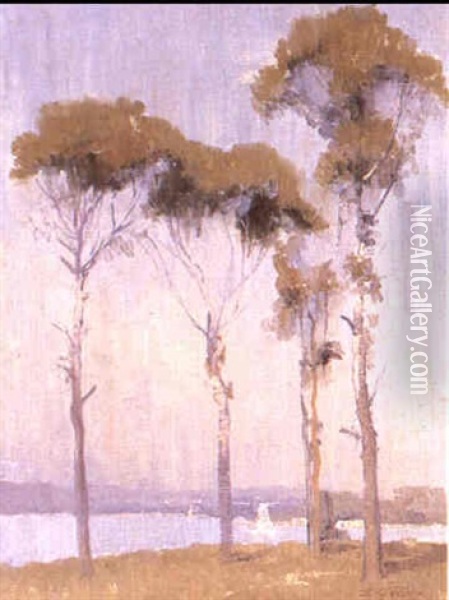 Gum Trees Oil Painting - Elioth Gruner