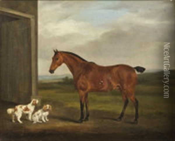 Horse With King Charles Spaniels (study) Oil Painting - William Henry Davis