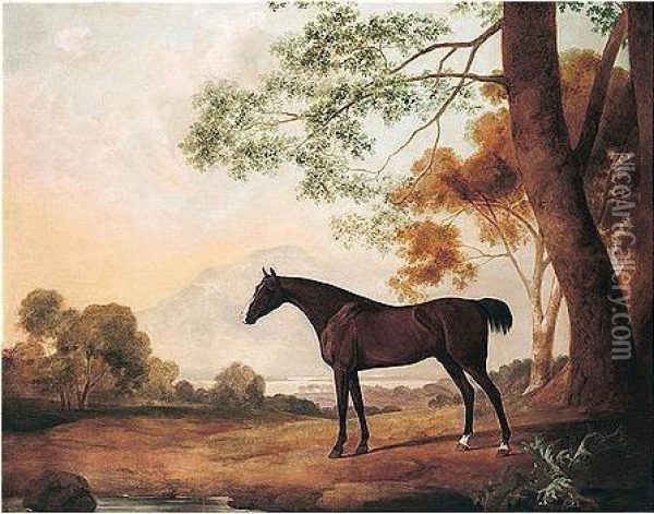 Lord Clermont's Bay Racehorse Johnny In A Landscape Oil Painting - John Best