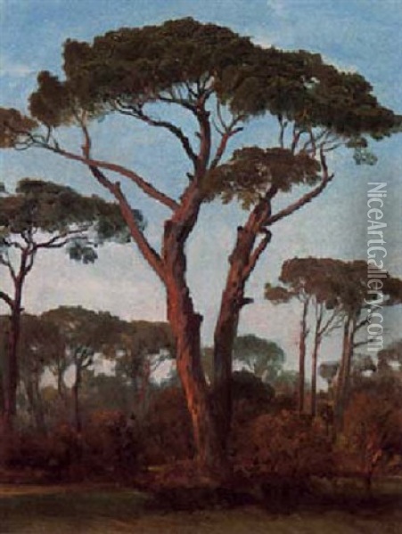 Pinien Oil Painting - Arnold Boecklin
