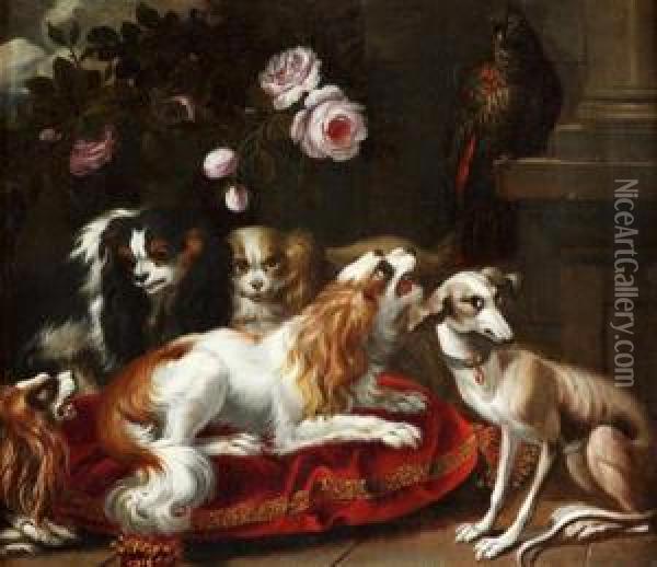 Perroquets Surveillant Des Levriers Et Un King Charles Oil Painting - Jean Ranc