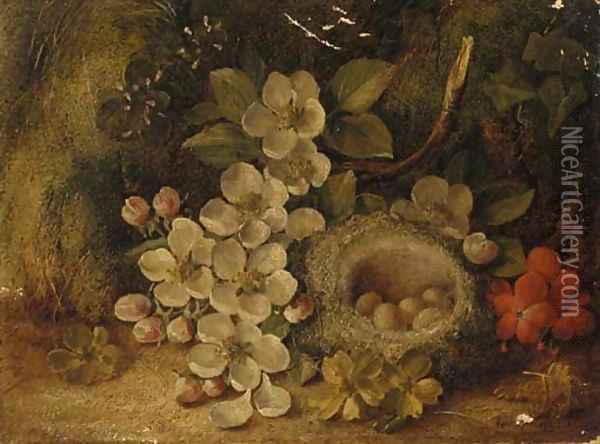Apple blossom and a bird's nest with eggs, on a mossy bank Oil Painting - Vincent Clare
