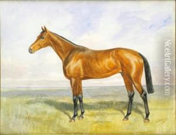 Cavallo Da Corsa Oil Painting - Karl Volkers