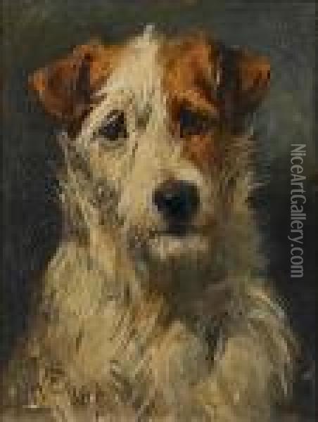 Fox Terrier Oil Painting - John Emms
