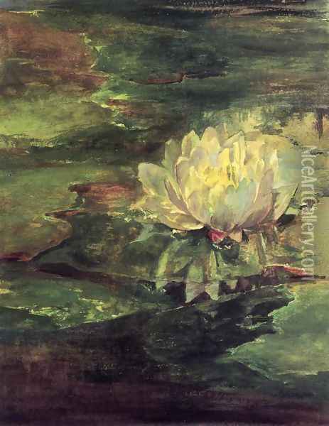 Water Lily Among Pads Oil Painting - John La Farge