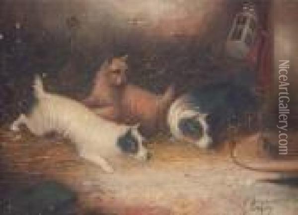 Trois Fox-terriers Jouant Avec Une Souris Dans Une Cage Oil Painting - George Armfield