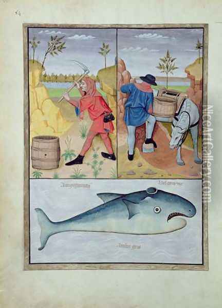 Illustration from the Book of Simple Medicines by Mattheaus Platearius d.c.1161 c.1470 45 Oil Painting - Robinet Testard