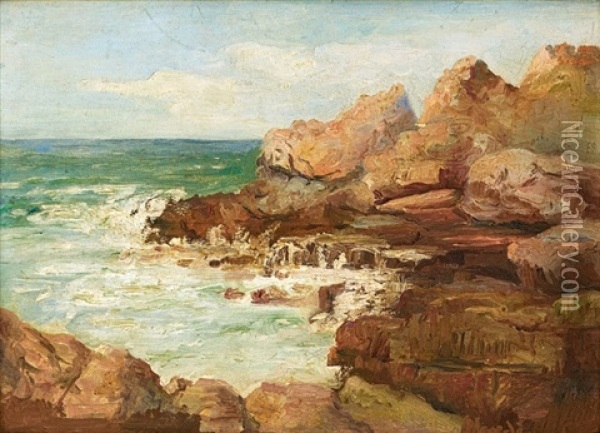 Cliffs At Hermanus Oil Painting - Pieter Hugo Naude