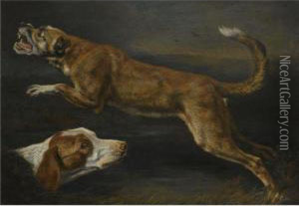 A Study Of Two Dogs, A Pointer And A Hound Oil Painting - Peeter Boel
