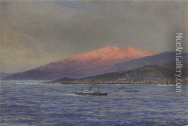 Dampfer Und Andere Schiffe Vor Sta. Cruz, Teneriffa Oil Painting - Carl Wilhelm Hugo Schnars-Alquist