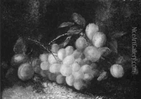 Grapes And Plumps On A Mossy Bank Oil Painting - George Clare