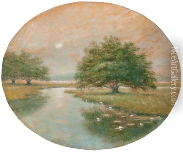 Live Oak Trees In The Louisiana Bayou Oil Painting - Alexander John Drysdale