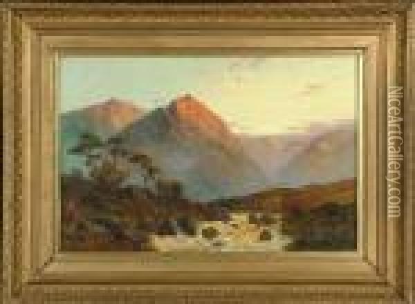 Late Afternoon Sunlight In A Highland Glen Oil Painting - Clarence Roe