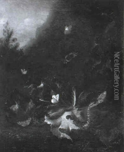 Nature Morte Au Serpent Et Aux Papillons Oil Painting - Otto Marseus van Schrieck