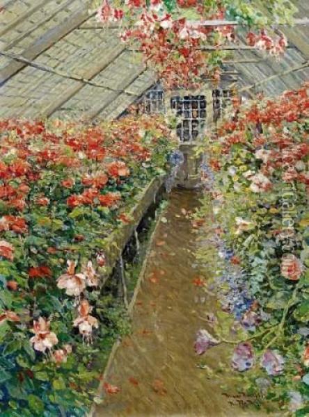 Blossoming Geranium And Begonias In A Greenhaus Oil Painting - Max Kuchel