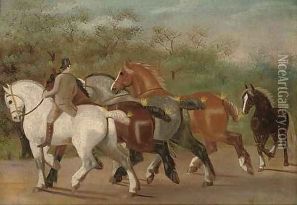 Shire-horses at exercise Oil Painting - Henry William Standing