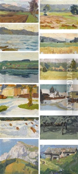 12 Diverse Landschaftsstudien Oil Painting - Franz Jakob Elmiger