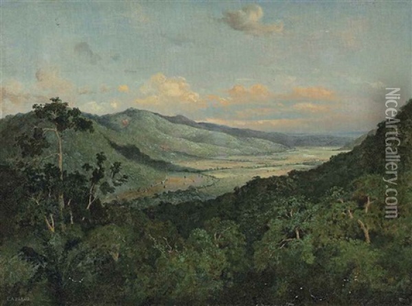 Sunlit Valley (diego Martin Valley From Fort George), Trinidad Oil Painting - Michel Jean Cazabon