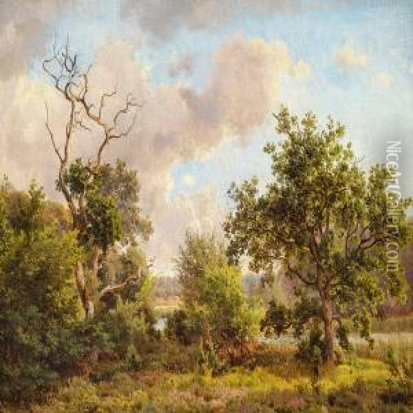 Summer Day In Bollemosen Oil Painting - Anders Christian Lunde
