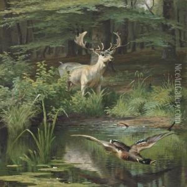 Forest Lake With Deer And Duck Taking Off Oil Painting - Adolf Henrik Mackeprang