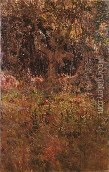 Bosque En Primavera Oil Painting - Antonio Munoz Degrain