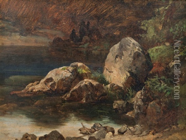 Naturstudie (felsiges Ufer) (study) Oil Painting - Friedrich Gauermann