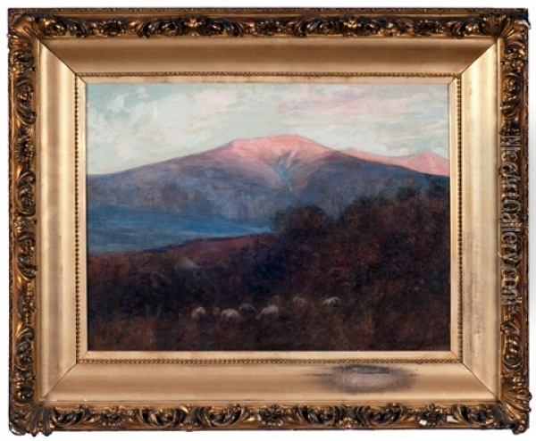 Mount Lafayette, Franconia, New Hampshire Oil Painting - Daniel Santry