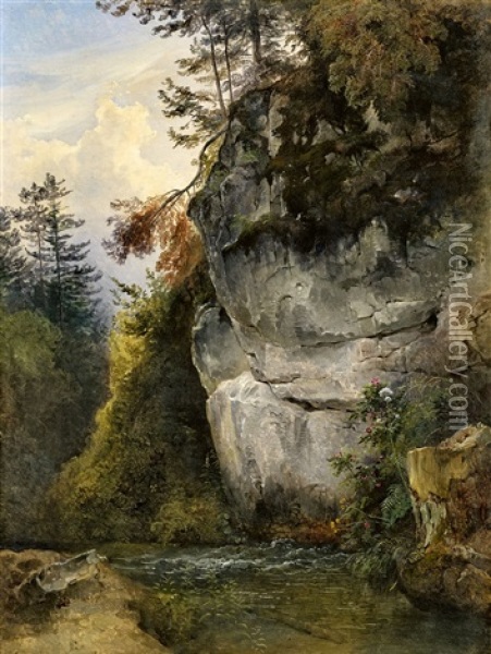 Felsblock An Einem Bach Oil Painting - Friedrich Gauermann