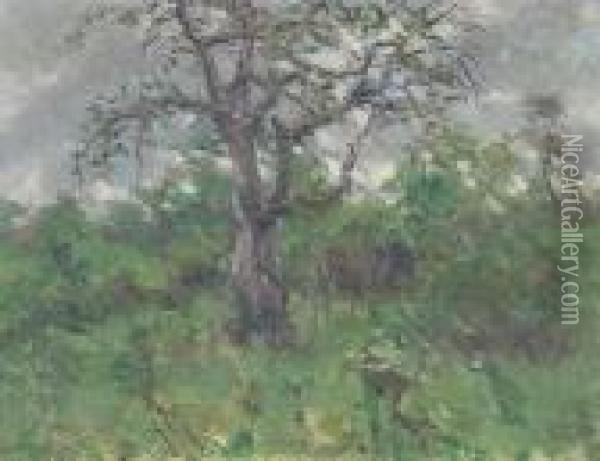 A Landscape With Tree, Spring Oil Painting - John Steuart Curry