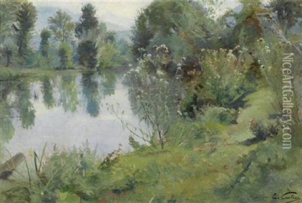 Weiherlandschaft Im Sommer Oil Painting - Edouard Castres