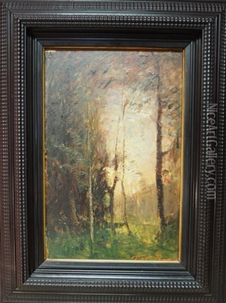Effets De Lumiere Dans Les Arbres Oil Painting - Auguste Francois Ravier