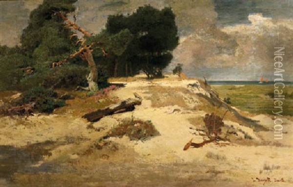 The Shore Of Barth In Summer, With Sailing Vessels On The Baltic Sea Oil Painting - Louis Douzette
