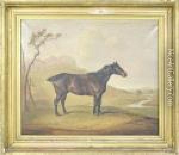 A Portrait Of A Horse In A Landscape Oil Painting - Thomas Weaver