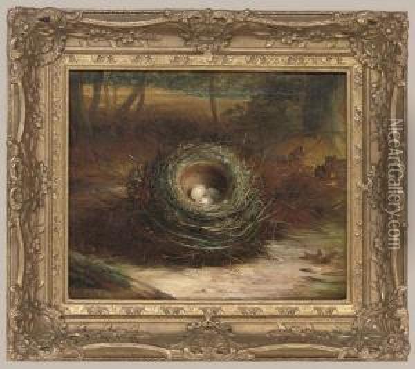 A Birds Nest In A Woodland Clearing Oil Painting - Abel Hold