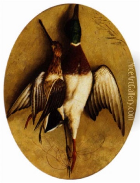 A Mallard And Snipe Hanging Oil Painting - Michelangelo Meucci