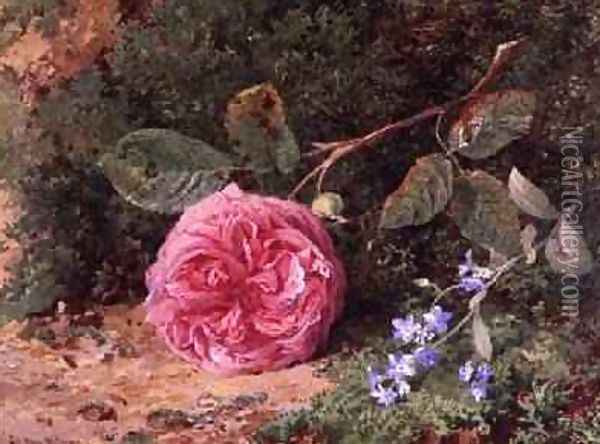 Pink Rose on a Mossy Bank, 1875 Oil Painting - Harry Sutton Palmer