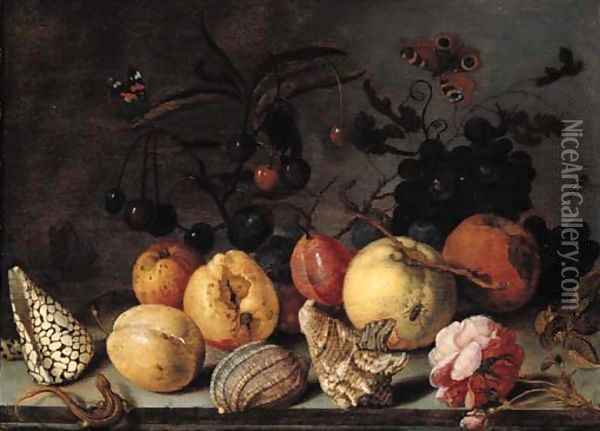 Fruit and shells, with butterflies, a dragonfly, a lizard, a snail and a fly on a stone ledge Oil Painting - Balthasar Van Der Ast