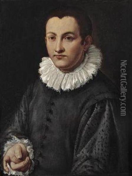 Portrait Of A Young Man Oil Painting - Alessandro Allori