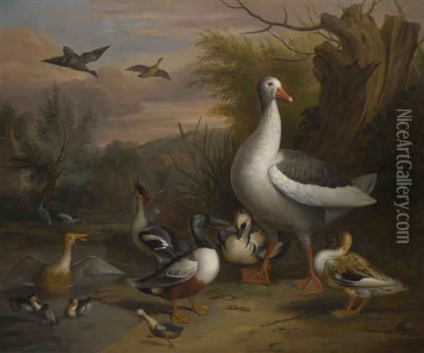 A Goose, Eider, Grebe And Other Fowl Beside A Pond Oil Painting - Jakob Bogdani