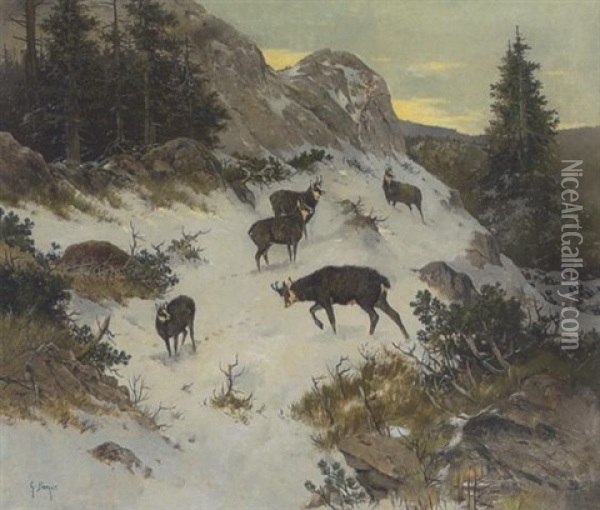 Gemsen Im Winterlichen Hochgebirge Oil Painting - G. Berger