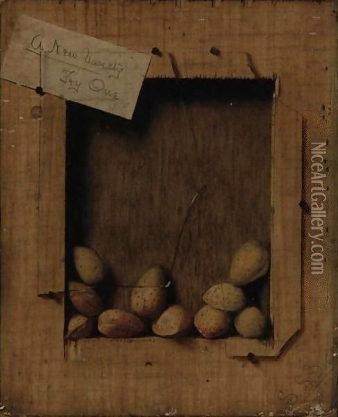 Still Life With Almonds Oil Painting - De Scott Evans