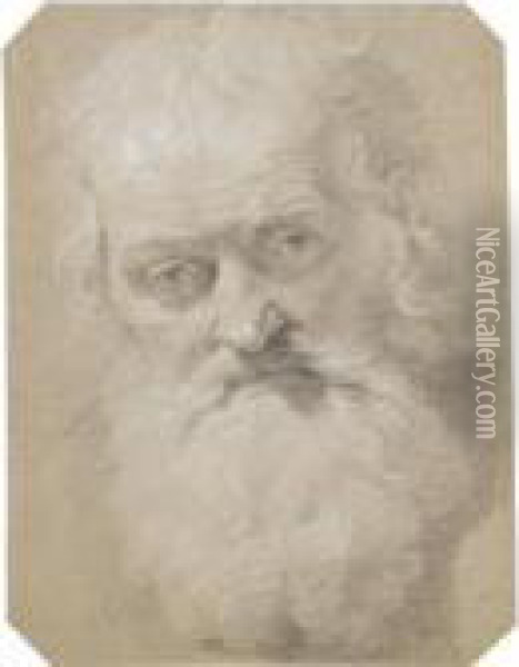 Study Of The Head Of An Old Bearded Man Oil Painting - Peter Paul Rubens