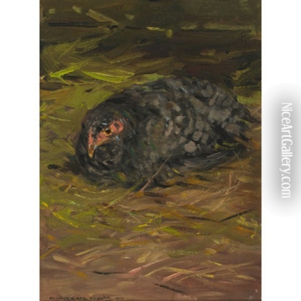 Resting Bird Oil Painting - Elizabeth Annie Mcgillivray Knowles
