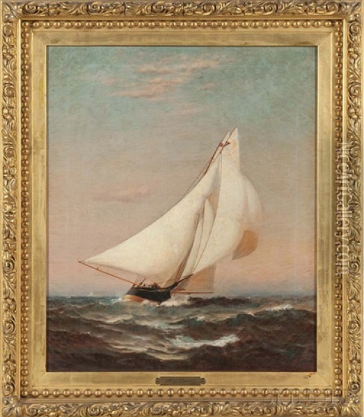 Portrait Of A Sailing Yacht Flying The Burgee Of The New York Yacht Club Oil Painting - J. Warren Sheppard